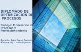 DIPLOMADO DE OPTIMIZACION DE PROCESOS Trabajo: Modelación de Procesos y Perfeccionamiento Docente: Juan Bravo Carrasco Alumna: Mg. Claudia Figueroa. R.