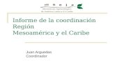 Informe de la coordinación Región Mesoamérica y el Caribe Juan Arguedas Coordinador.