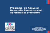 Programa de Apoyo al Desarrollo Biopsicosocial, Aprendizajes y desafíos Lucia Vergara D. Unidad Chile Crece Contigo División de Atención Primaria Ministerio.