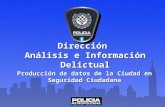 Dirección Análisis e Información Delictual Producción de datos de la Ciudad en Seguridad Ciudadana.
