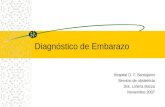 Diagnóstico de Embarazo Hospital D. F. Santojanni Servicio de obstetricia Dra. Lorena Bozza Noviembre 2007.