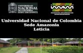 1 Universidad Nacional de Colombia Sede Amazonia Leticia INSTITUTO AMAZÓNICO DE INVESTIGACIONES.