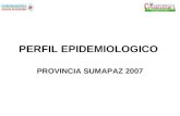 PERFIL EPIDEMIOLOGICO PROVINCIA SUMAPAZ 2007. DEMOGRAFIA.