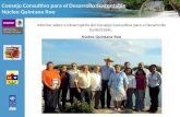 Consejo Consultivo para el Desarrollo Sustentable Núcleo Quintana Roo Informe sobre el desempeño del Consejo Consultivo para el Desarrollo Sustentable,