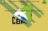 PROYECTO CORREDOR BIOLOGICO DEL ATLANTICO MINISTERIO DEL AMBIENTE Y LOS RECURSOS NATURALES MARENA.