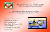 MINISTERIO DE LA PRODUCCION Dirección General de Pesca Artesanal Taller de Evaluación de Resultados y Revisión Plan Nacional para el Desarrollo de la Pesca.