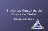 Sistemas Gestores de Bases de Datos IES Virgen del Espino.