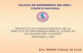 COLEGIO DE ENFERMEROS DEL PERU PROYECTO DE FORTALECIMIENTO DE LA PRACTICA DE ENFERMERIA PARA EL LOGRO DE LA CALIDAD DEL CUIDADO PROFOPEC / CEP Dra. Nélida.