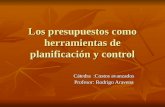 Los presupuestos como herramientas de planificación y control Cátedra :Costos avanzados Profesor: Rodrigo Aravena.