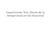 Experimento Tres: Efecto de la Temperatura en las Neuronas.