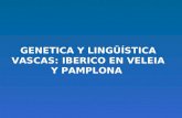 GENETICA Y LINGÜÍSTICA VASCAS: IBERICO EN VELEIA Y PAMPLONA.