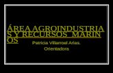 ÁREA AGROINDUSTRIAS Y RECURSOS MARINOS Patricia Villarroel Arias. Orientadora.