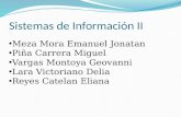 Sistemas de Información II Meza Mora Emanuel Jonatan Piña Carrera Miguel Vargas Montoya Geovanni Lara Victoriano Delia Reyes Catelan Eliana.