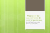 Medición del crecimiento de microrganismos Lucia Castillo Morales Dr. Iván Salmerón.
