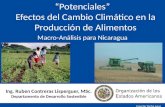 Ing. Ruben Contreras Lisperguer, MSc. Departamento de Desarrollo Sostenible “Potenciales” Efectos del Cambio Climático en la Producción de Alimentos Macro-Análisis.