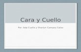 Cara y Cuello Por: Ada Cuello y Sharlyn Campos Calvo.