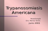 Trypanosomiasis Americana Parasitología Dra. Marisa Torres Junio 2001.