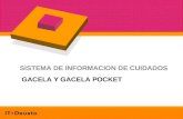 SISTEMA DE INFORMACION DE CUIDADOS GACELA Y GACELA POCKET.