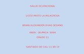 SALUD OCUPACIONAL LICEO MIXTO LA MILAGROSA BRIAN ALEXANDER RIVAS SEDANO AREA: QUIMICA- SENA GRADO 11 SANTIAGO DE CALI 11 08 13.