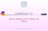 Universidad del Cauca – FIET – Departamento de Sistemas CAPITULO 12 Otros Objetos de la Base de Datos.