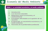 TEMA 1. La actividad económica y el medio ambiente 1.Introducción 2.Los recursos naturales 3.Relaciones entre la economía y el medioambiente 4.Principales.