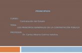 PRINCIPIOS CURSO: Contratación del Estado PROFESOR: Dr. Carlos Alberto Cotrina Valdivia. TEMA: LOS PRINCIPIOS GENERALES DE LA CONTRATACIÓN PÚBLICA.