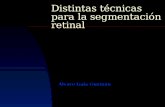 Distintas técnicas para la segmentación retinal Álvaro Gala Guzmán.