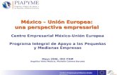 Centro Empresarial México-Unión Europea México – Unión Europea: una perspectiva empresarial Centro Empresarial México-Unión Europea Programa Integral de.