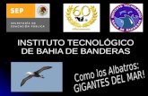 INSTITUTO TECNOLÓGICO DE BAHIA DE BANDERAS. HISTORIA Ago 1993 Extensión ITMAR-2 Mazatlán Ago 1993 Extensión ITMAR-2 Mazatlán Inicia Lic. Admon. Empresas.