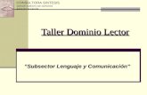 Taller Dominio Lector “Subsector Lenguaje y Comunicación” CONSULTORA SINTESIS DEPARTAMENTO DE GESTIÓN ÁREA DE EDUCACIÓN.