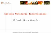 Sistema Monetario Internacional Alfredo Nava Govela.