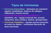 Tipos de Hormonas Hormonas Esteroideas - derivadas de colesterol- regulan metabolismo, balance de sal/agua, inflamación, función sexual Hormonas Derivadas.