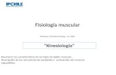 Fisiología muscular Professor: Verónica Pantoja. Lic. MSP. “Kinesiologia” Reconocer las características de los tipos de tejido muscular. Descripción de.