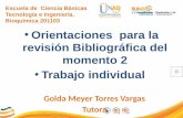 Orientaciones para la revisión Bibliográfica del momento 2 Trabajo individual Golda Meyer Torres Vargas Tutora Escuela de Ciencia Básicas Tecnología e.