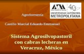 Sistema Agrosilvopastoril con cabras lecheras en Veracruz, México Agroforestería Castillo Marcial Eduardo Emmanuel.