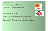 Encuentro OIT Taller Subregional Andino Lima, 26-27 noviembre 2008 Enfoque CSA sobre Autoreforma Sindical Capitulo Organizar-Sindicalizar.
