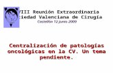 XVIII Reunión Extraordinaria Sociedad Valenciana de Cirugía Castellón 12 Junio 2009 Centralización de patologías oncológicas en la CV. Un tema pendiente.