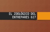 EL ZOOLÓGICO DEL ENTREPARES 617. CLASIFICACIÓN DE LAS AVES.