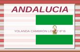 ANDALUCIA YOLANDA CAMBRÓN LÓPEZ 6º B. INDICE  Introducción sobre Andalucía Bandera de cada provincia  Escudo de cada provincia  Información de cada.