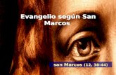Evangelio según San Marcos san Marcos (12, 38-44)