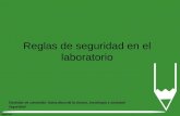 Reglas de seguridad en el laboratorio Estándar de contenido: Naturaleza de la ciencia, tecnología y sociedad Seguridad.