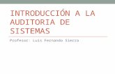 INTRODUCCIÓN A LA AUDITORIA DE SISTEMAS Profesor: Luis Fernando Sierra.