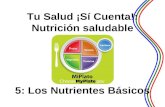 1 Tu Salud ¡Sí Cuenta!: Nutrición saludable 5: Los Nutrientes Básicos.