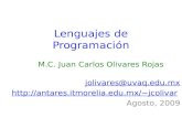 Lenguajes de Programación M.C. Juan Carlos Olivares Rojas jolivares@uvaq.edu.mx jcolivar Agosto, 2009.