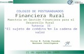 COLEGIO DE POSTGRADUADOS Financiera Rural Maestría en Gestión Financiera para el Desarrollo Rural Tutoría II “El sujeto de crédito en la cadena de valor”