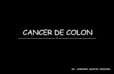 DR. LEONARDO AGUSTIN ARRECHEA. Cancer colorrectal (CCR) 2ª causa de muerte por cáncer en países desarrollados (con  ca cólon y estabilización de los.