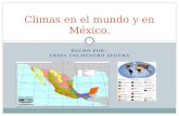 HECHO POR: FRIDA COLMENERO SEGURA Climas en el mundo y en México.