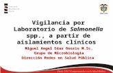 Vigilancia por Laboratorio de Salmonella spp., a partir de aislamientos clínicos Miguel Angel Díaz Osorio M.Sc. Grupo de Microbiología Dirección Redes.