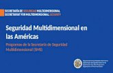 Seguridad Multidimensional en las Américas Programas de la Secretaría de Seguridad Multidimensional (SMS)