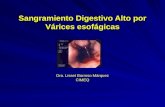Sangramiento Digestivo Alto por Várices esofágicas Dra. Lisset Barroso Márquez CIMEQ.